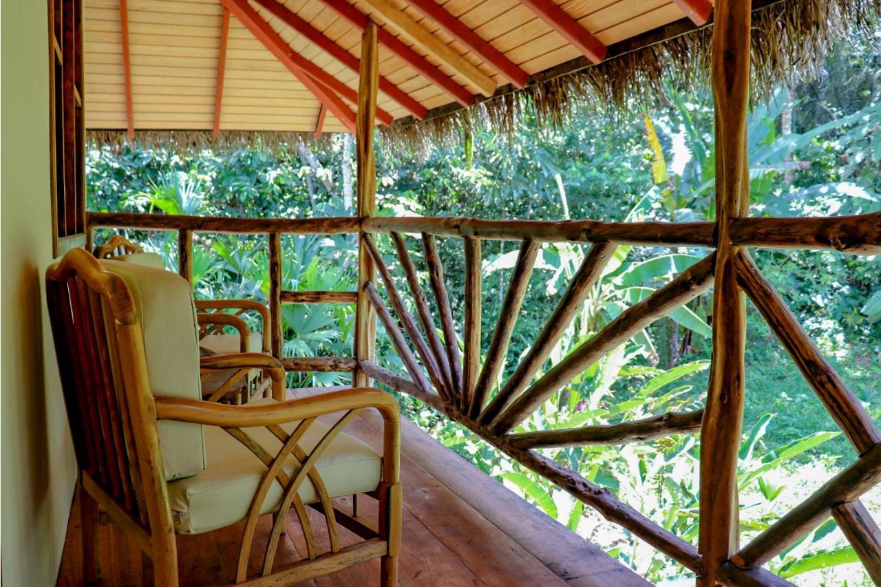 Suchipakari Amazon Eco -Lodge & Jungle Reserve Puerto Misahuallí Eksteriør billede
