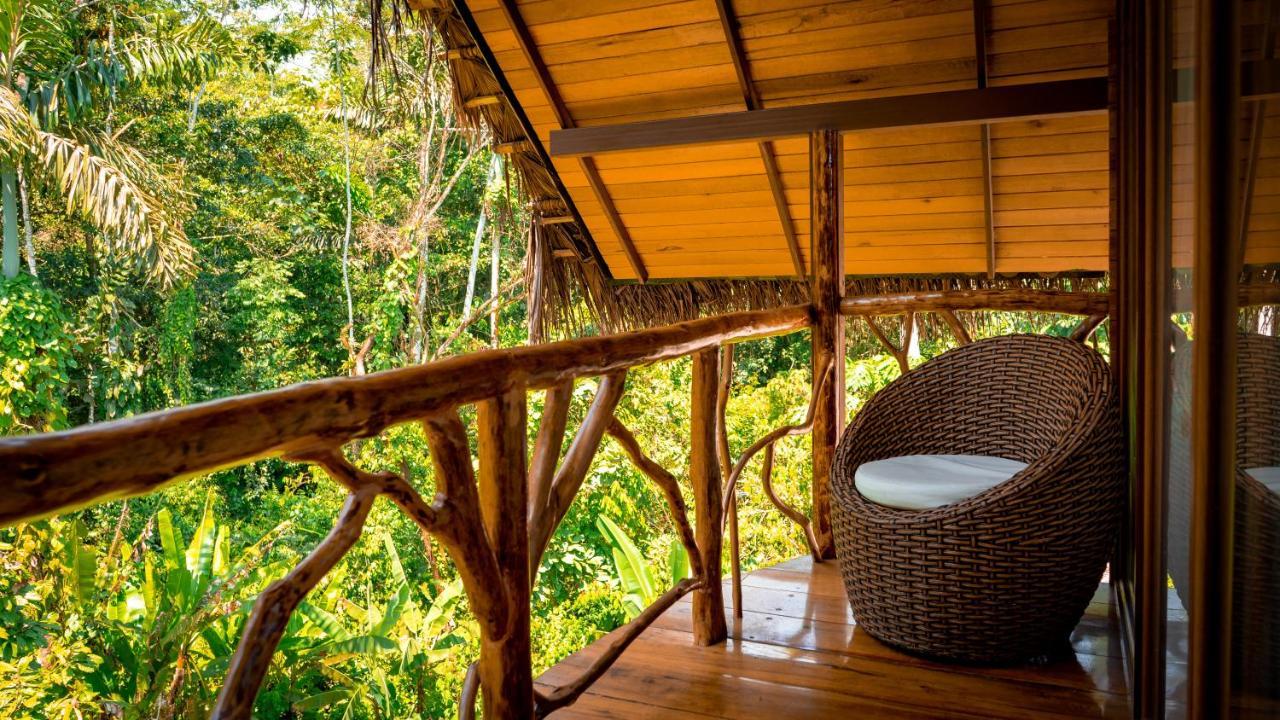 Suchipakari Amazon Eco -Lodge & Jungle Reserve Puerto Misahuallí Eksteriør billede