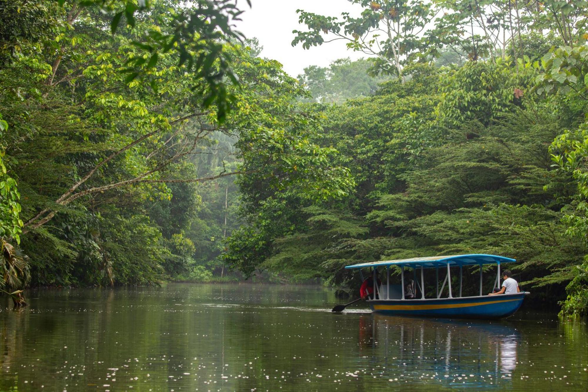 Suchipakari Amazon Eco -Lodge & Jungle Reserve Puerto Misahuallí Eksteriør billede