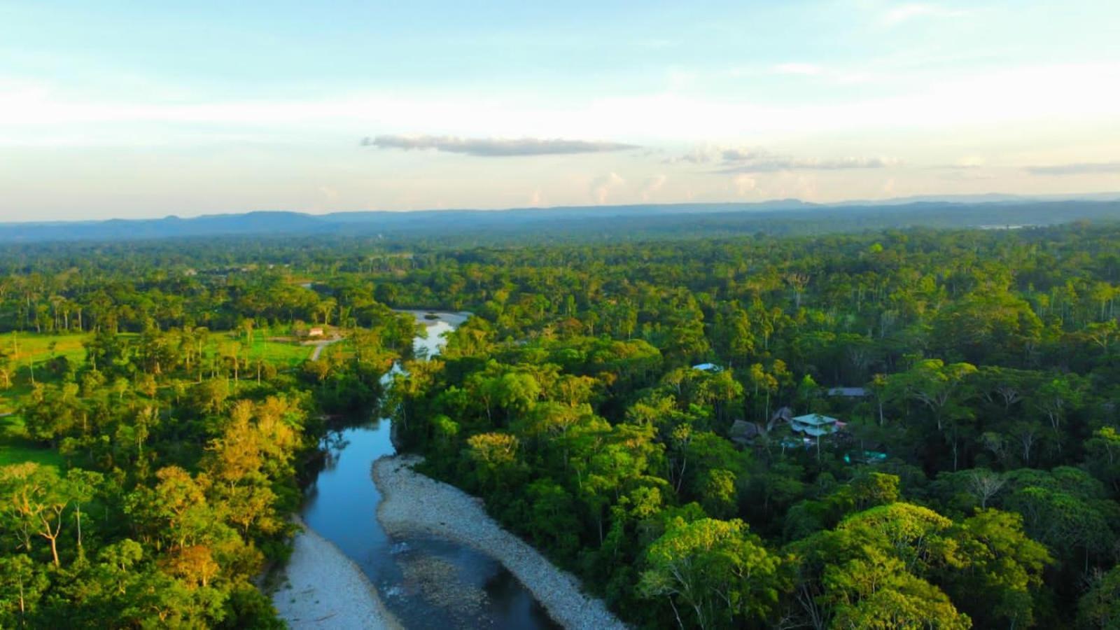 Suchipakari Amazon Eco -Lodge & Jungle Reserve Puerto Misahuallí Eksteriør billede