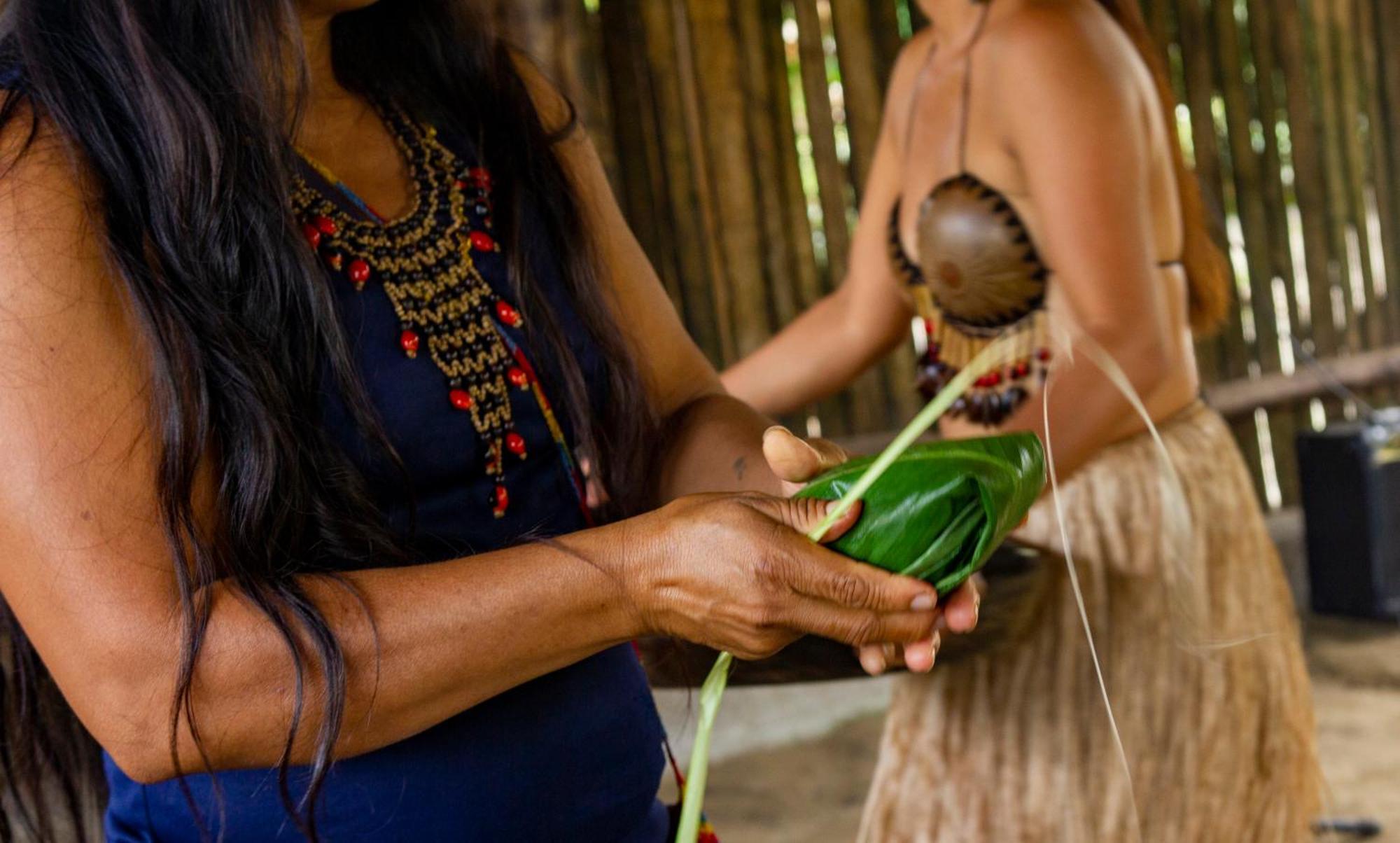 Suchipakari Amazon Eco -Lodge & Jungle Reserve Puerto Misahuallí Eksteriør billede