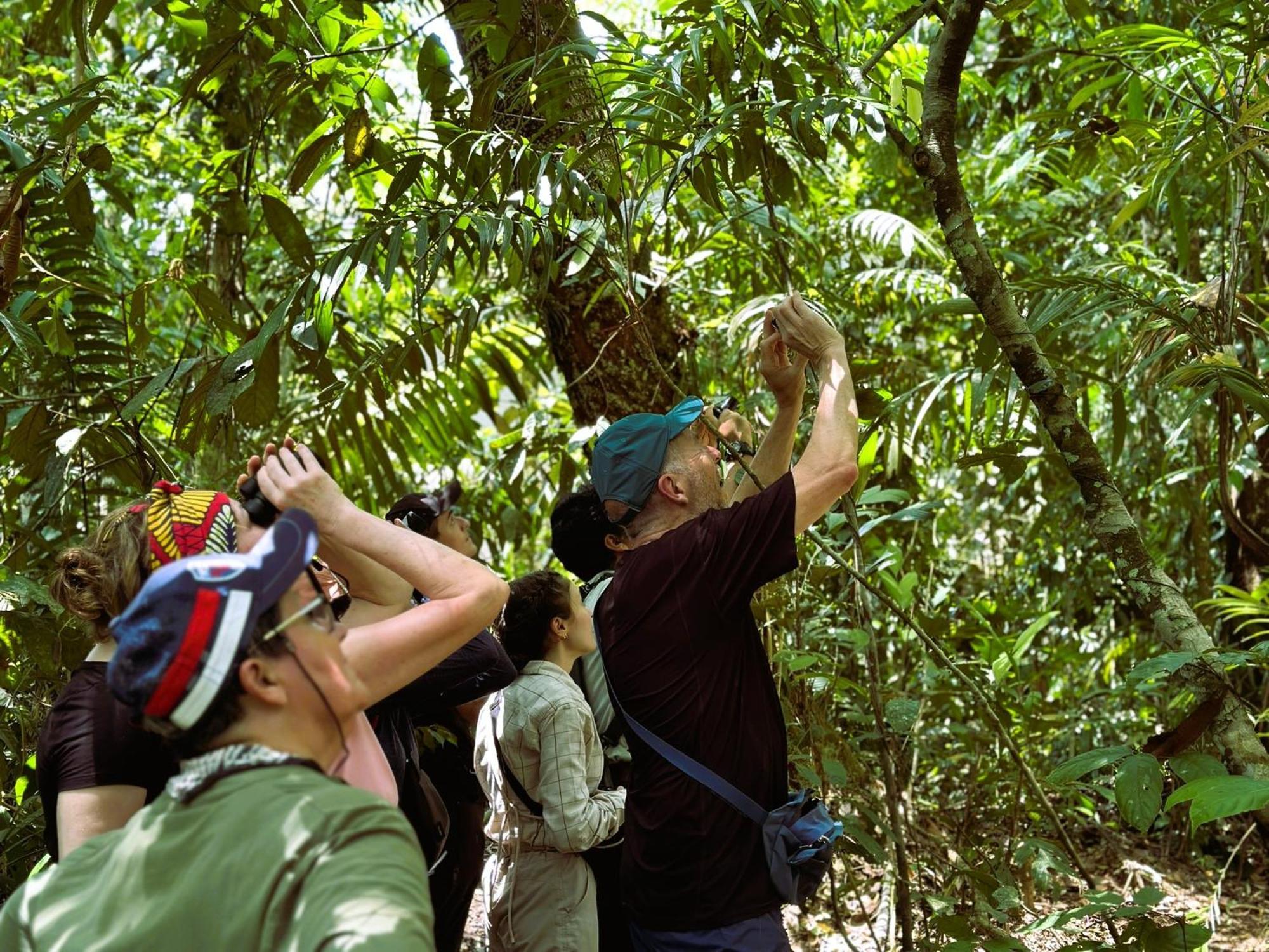 Suchipakari Amazon Eco -Lodge & Jungle Reserve Puerto Misahuallí Eksteriør billede